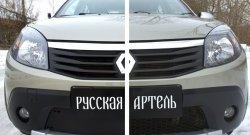 1 299 р. Зимняя заглушка решетки переднего бампера РА  Renault Sandero Stepway  (BS) (2010-2014)  с доставкой в г. Воронеж. Увеличить фотографию 7