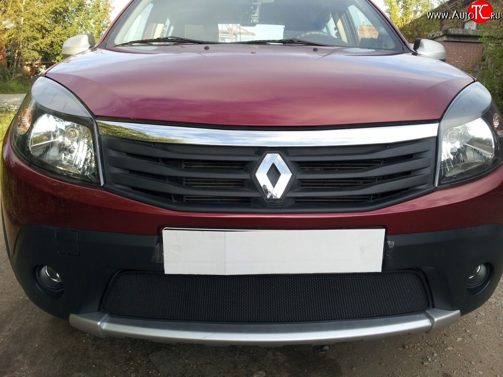 1 934 р. Сетка на бампер Novline Renault Sandero Stepway (B8) дорестайлинг (2014-2018)  с доставкой в г. Воронеж