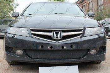 Защитная сетка радиатора в бампер (ячейка 3х7 мм) Стрелка11 Стандарт Honda (Хонда) Accord (Аккорд) ( 7 CL,  7 CM) (2005-2008) 7 CL, 7 CM седан рестайлинг, универсал рестайлинг