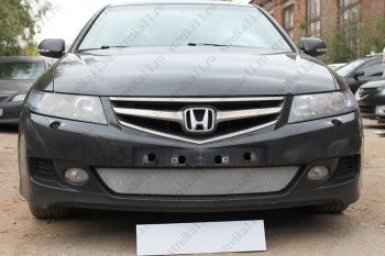 Защитная сетка радиатора в бампер (ячейка 3х7 мм) Стрелка11 Стандарт Honda (Хонда) Accord (Аккорд) ( 7 CL,  7 CM) (2005-2008) 7 CL, 7 CM седан рестайлинг, универсал рестайлинг