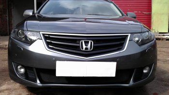 Защитная сетка радиатора в бампер (ячейка 3х7 мм) Стрелка11 Стандарт Honda (Хонда) Accord (Аккорд) ( 8 CU,  8 CW) (2008-2011) 8 CU, 8 CW седан дорестайлинг, универсал дорестайлинг