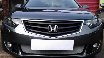 Защитная сетка радиатора в бампер (ячейка 3х7 мм) Стрелка11 Стандарт Honda (Хонда) Accord (Аккорд) ( 8 CU,  8 CW) (2008-2011) 8 CU, 8 CW седан дорестайлинг, универсал дорестайлинг