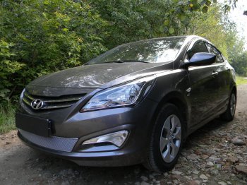 Защитная сетка радиатора в бампер (ячейка 4х10 мм) Стрелка11 Премиум Hyundai (Хюндаи) Solaris (Солярис)  RBr (2014-2017) RBr седан рестайлинг, хэтчбэк рестайлинг