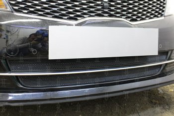 4 499 р. Защитная сетка радиатора в бампер (ячейка 3х7 мм, GT/GT-Line) Стрелка11 Стандарт  KIA Optima  4 JF (2015-2018) дорестайлинг универсал, дорестайлинг седан (черная)  с доставкой в г. Воронеж. Увеличить фотографию 2