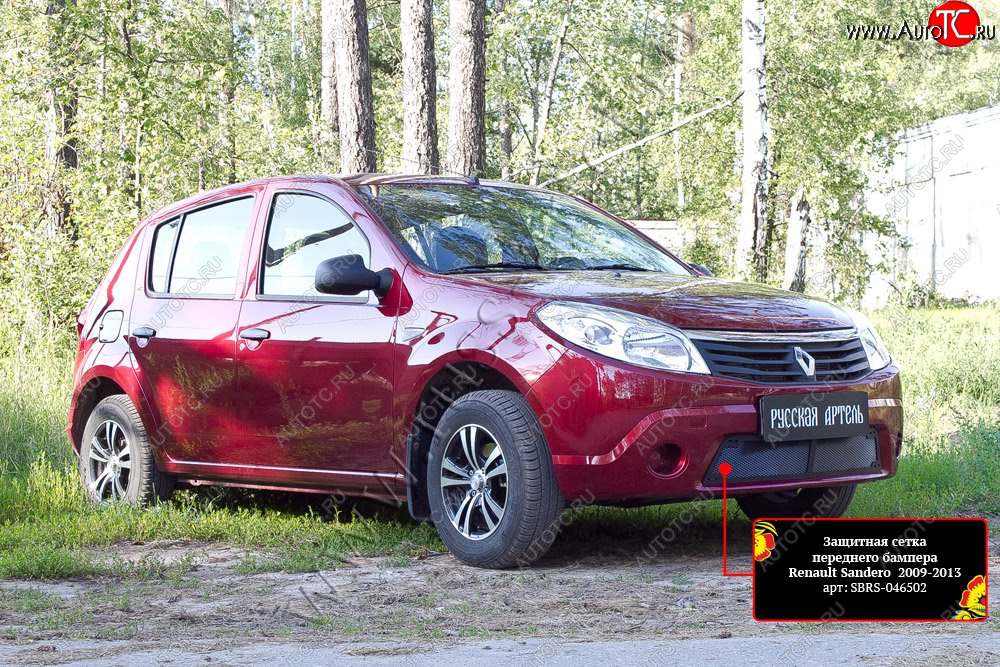 2 149 р. Защитная сетка решетки переднего бампера Русская Артель Renault Sandero (BS) (2009-2014) (Поверхность текстурная)  с доставкой в г. Воронеж