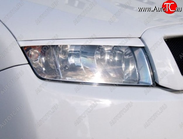 1 299 р. Реснички на фары CT Skoda Fabia Mk1 седан рестайлинг (2004-2008) (Неокрашенные)  с доставкой в г. Воронеж