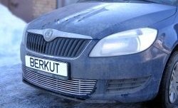 5 899 р. Декоративная вставка воздухозаборника Berkut Skoda Fabia Mk2 универсал дорестайлинг (2007-2010)  с доставкой в г. Воронеж. Увеличить фотографию 1