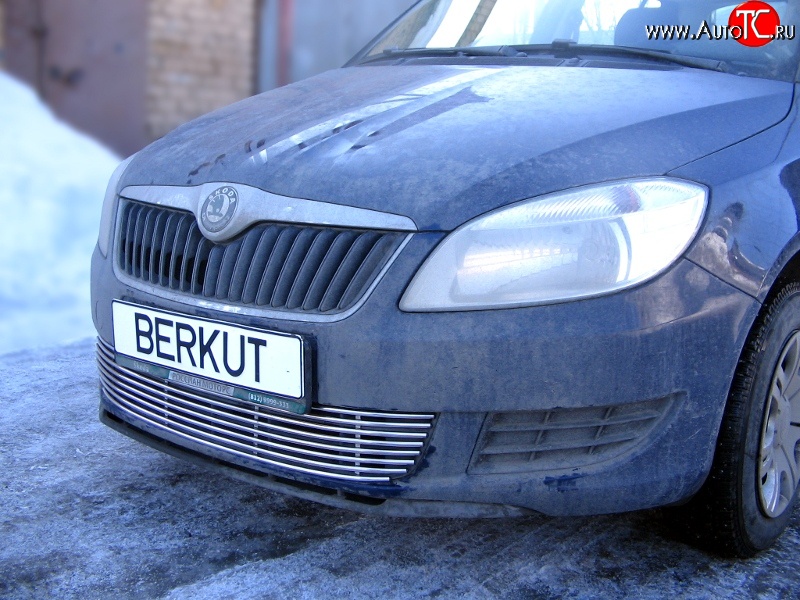 5 899 р. Декоративная вставка воздухозаборника Berkut Skoda Fabia Mk2 универсал дорестайлинг (2007-2010)  с доставкой в г. Воронеж