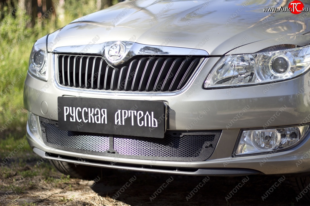 2 069 р. Защитная сетка решетки переднего бампера РА Skoda Fabia Mk2 универсал рестайлинг (2010-2014)  с доставкой в г. Воронеж