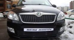 1 469 р. Сетка на бампер (рестайлинг) Russtal (черная)  Skoda Fabia  Mk2 (2007-2010) универсал дорестайлинг, хэтчбэк дорестайлинг  с доставкой в г. Воронеж. Увеличить фотографию 3