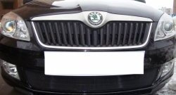 1 469 р. Сетка на бампер (рестайлинг) Russtal (черная)  Skoda Fabia  Mk2 (2007-2010) универсал дорестайлинг, хэтчбэк дорестайлинг  с доставкой в г. Воронеж. Увеличить фотографию 4