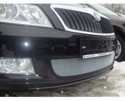 Сетка на бампер (рестайлинг) Russtal (хром) Skoda Fabia Mk2 хэтчбэк дорестайлинг (2007-2010)