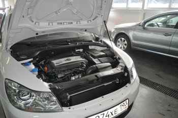 Упоры капота Russtal Skoda Octavia A5 дорестайлинг универсал (2004-2008) (1 штука)