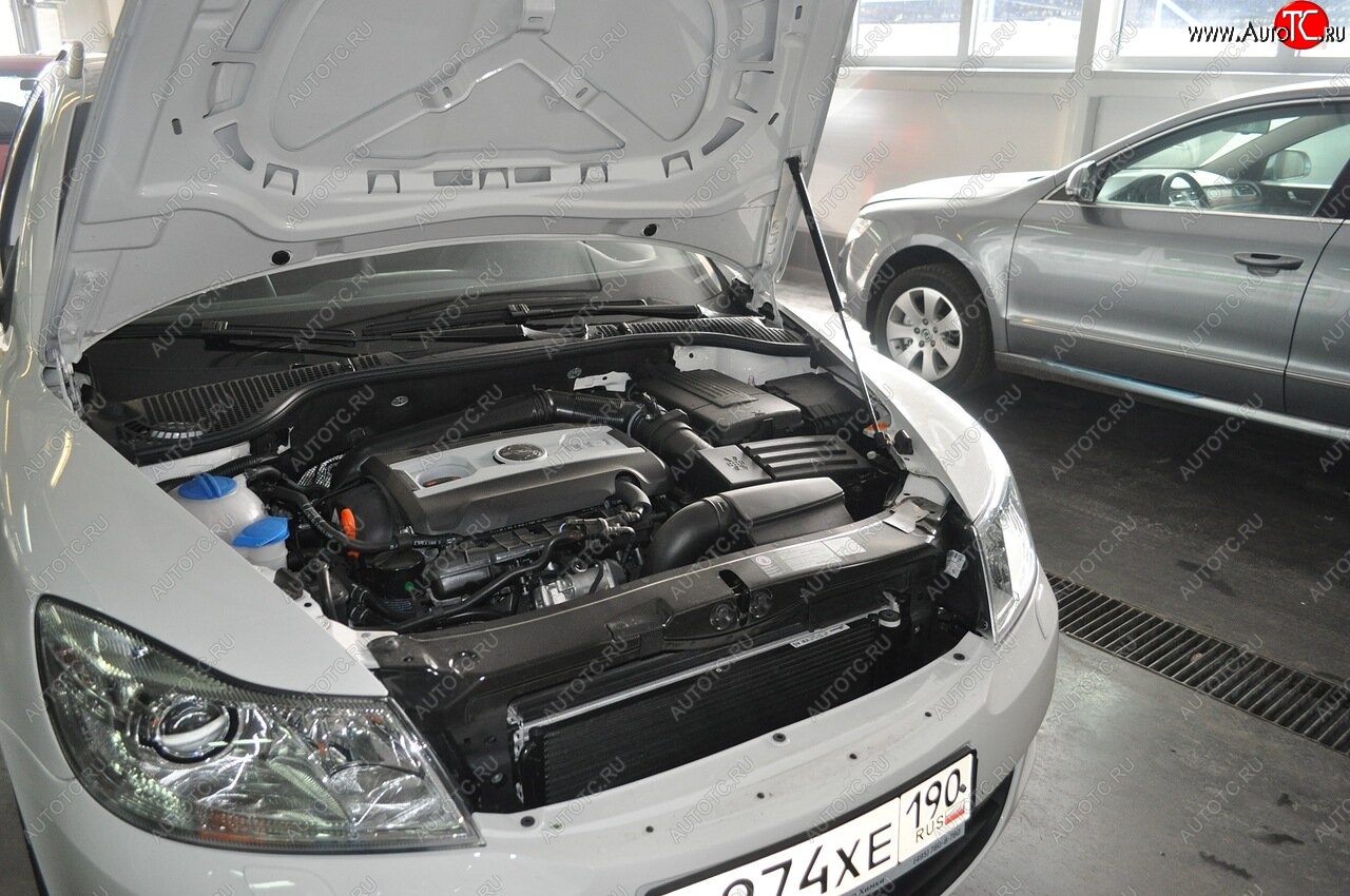 2 049 р. Упоры капота Russtal Skoda Octavia A5 дорестайлинг универсал (2004-2008) (1 штука)  с доставкой в г. Воронеж