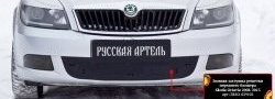 1 299 р. Зимняя заглушка решетки переднего бампера РА  Skoda Octavia  A5 (2008-2013) лифтбэк рестайлинг, рестайлинг универсал  с доставкой в г. Воронеж. Увеличить фотографию 2