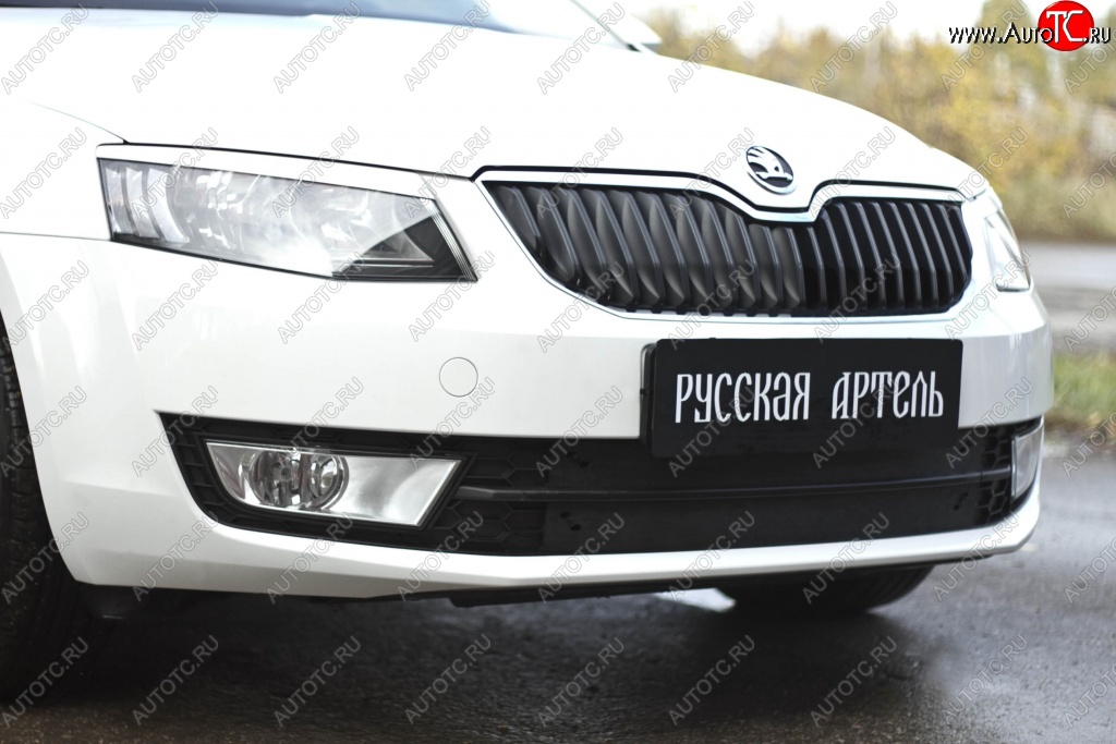 1 039 р. Зимняя заглушка решетки переднего бампера РА Skoda Octavia A7 рестайлинг универсал (2016-2020)  с доставкой в г. Воронеж