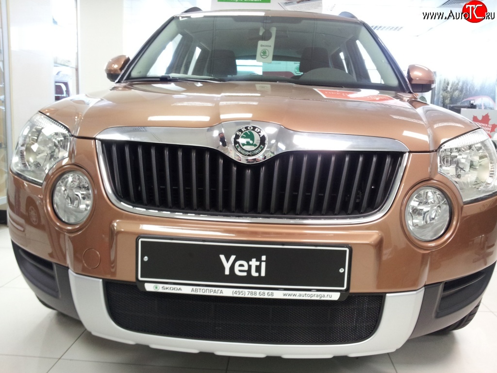 1 469 р. Сетка на бампер Russtal (черная) Skoda Yeti (2009-2013)  с доставкой в г. Воронеж