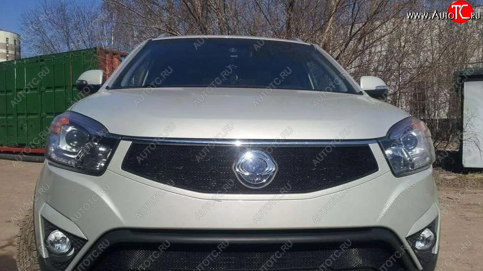 1 469 р. Защитная сетка в решетку радиатора Russtal SSANGYONG Actyon рестайлинг (2013-2021)  с доставкой в г. Воронеж