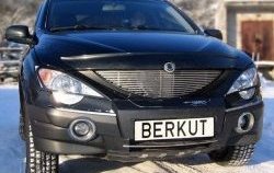 5 999 р. Декоративная вставка решетки радиатора Berkut  SSANGYONG Actyon Sport (2006-2011)  с доставкой в г. Воронеж. Увеличить фотографию 1