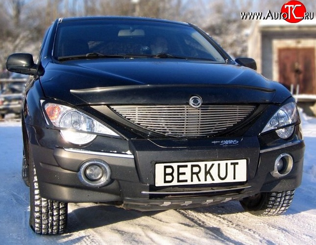 5 999 р. Декоративная вставка решетки радиатора Berkut  SSANGYONG Actyon Sport (2006-2011)  с доставкой в г. Воронеж