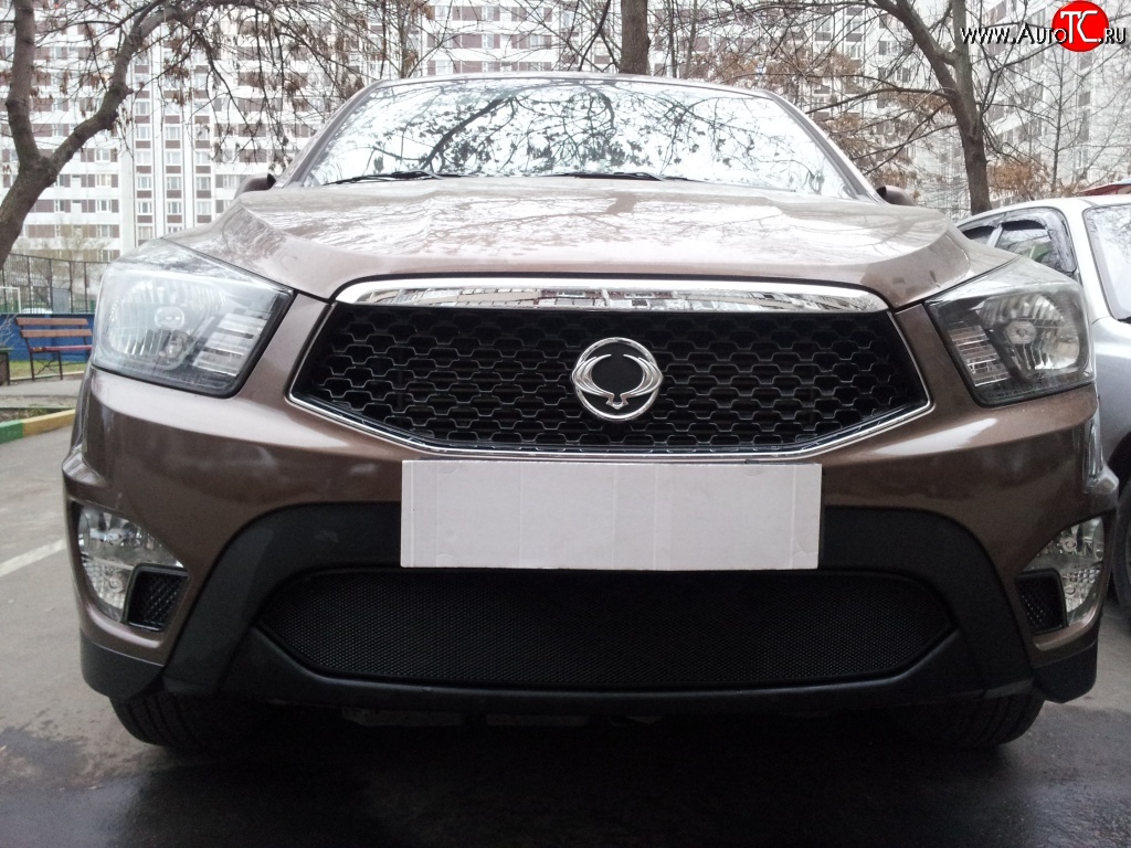 1 469 р. Сетка на бампер Russtal (черная) SSANGYONG Actyon Sport (2012-2025)  с доставкой в г. Воронеж