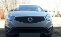 1 469 р. Сетка в решетку радиатора Russtal SSANGYONG Actyon рестайлинг (2013-2021) (черная)  с доставкой в г. Воронеж. Увеличить фотографию 2