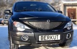 5 999 р. Декоративная вставка решетки радиатора Berkut  SSANGYONG Actyon  1 (2006-2010)  с доставкой в г. Воронеж. Увеличить фотографию 1