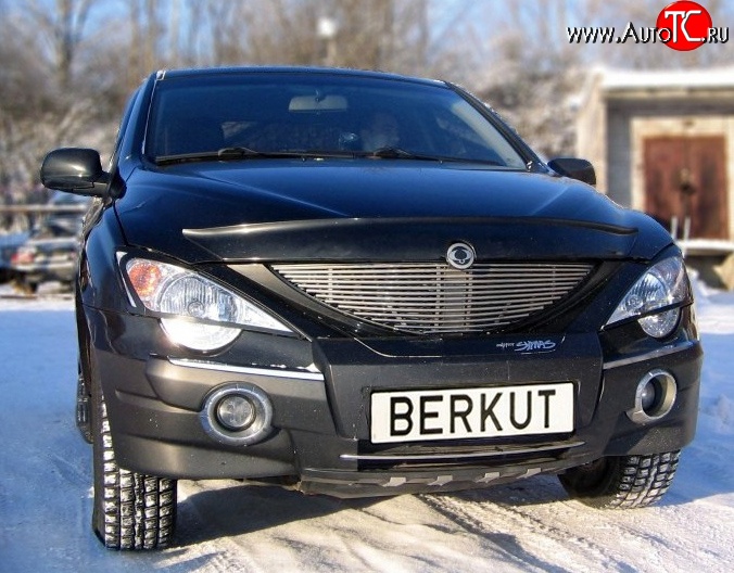 5 999 р. Декоративная вставка решетки радиатора Berkut SSANGYONG Actyon 1 (2006-2010)  с доставкой в г. Воронеж