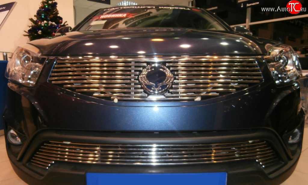 5 799 р. Декоративная вставка решетки радиатора Berkut SSANGYONG Actyon рестайлинг (2013-2021)  с доставкой в г. Воронеж