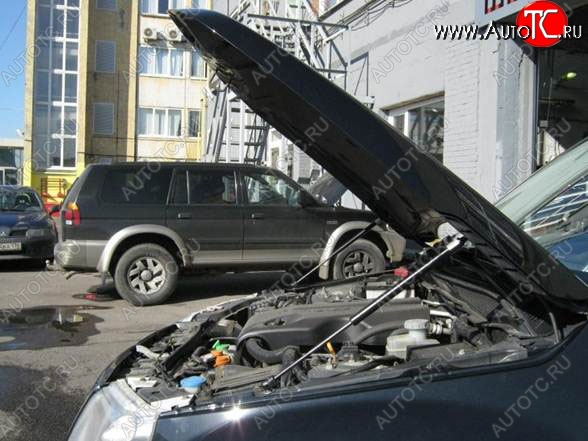 2 199 р. Газовые упоры капота Berkut Suzuki Grand Vitara JT 5 дверей дорестайлинг (2005-2008)  с доставкой в г. Воронеж