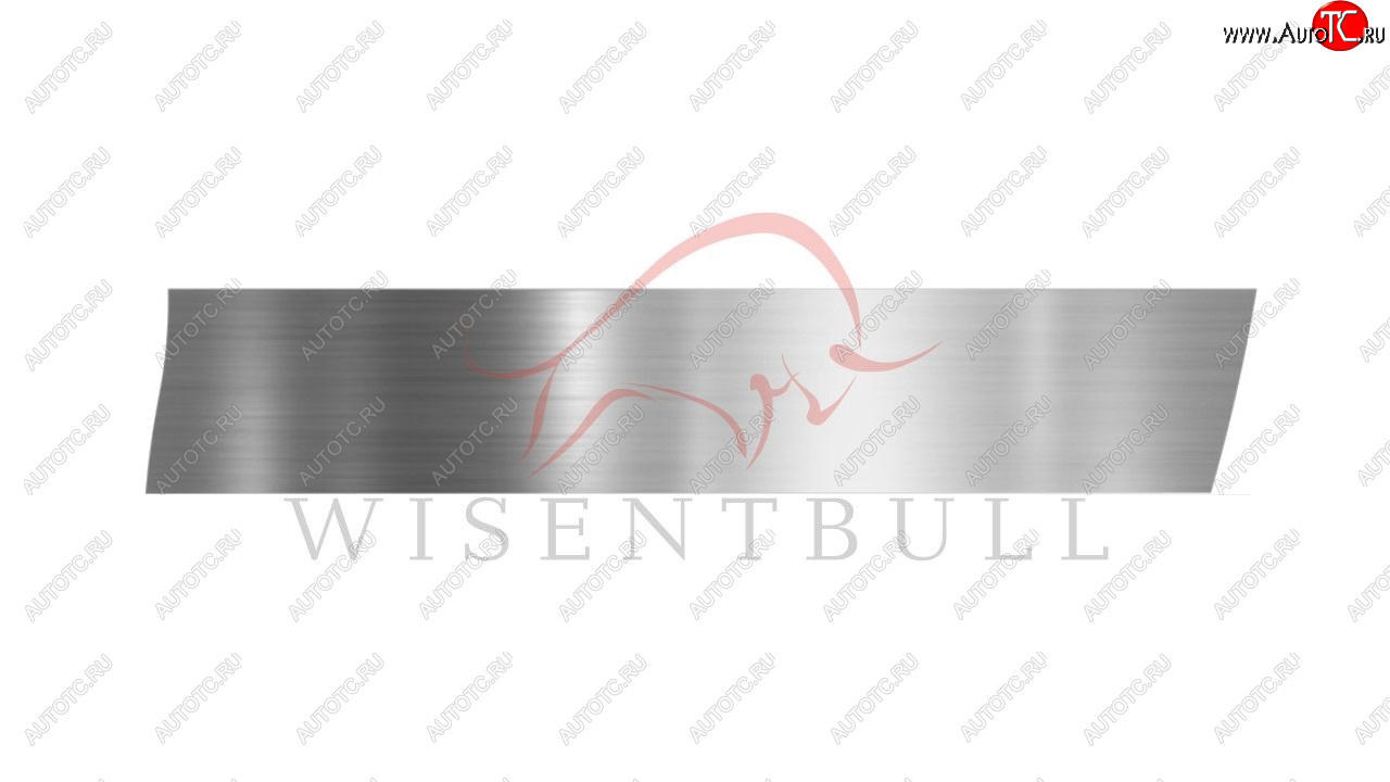 1 989 р. Ремкомплект правой двери Wisentbull Toyota Sprinter Carib (1995-1997)  с доставкой в г. Воронеж