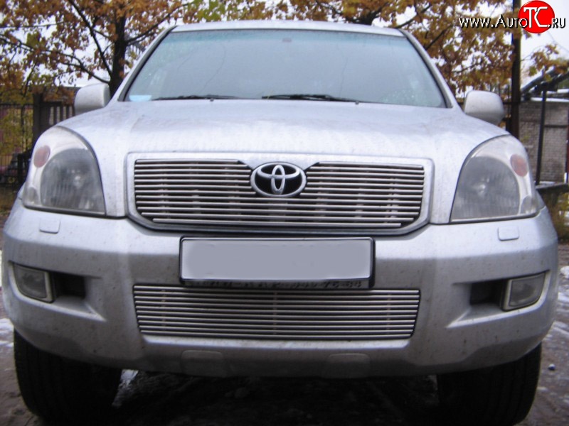 4 399 р. Декоративная вставка воздухозаборника Berkut Toyota Land Cruiser Prado J120 (2002-2009)  с доставкой в г. Воронеж
