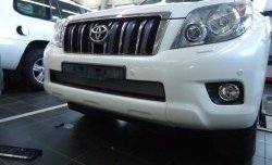 1 539 р. Сетка на бампер Russtal (хром) Toyota Land Cruiser Prado J150 дорестайлинг (2009-2013)  с доставкой в г. Воронеж. Увеличить фотографию 2