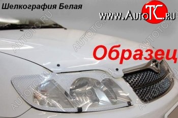 2 199 р. Защита фар CA-Plastiс  Toyota Mark 2  X110 (2000-2002) седан дорестайлинг (Шелкография белая)  с доставкой в г. Воронеж