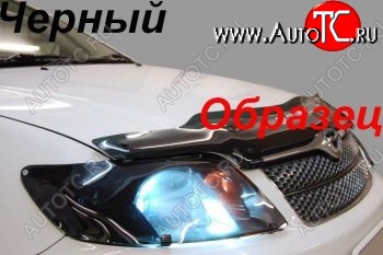 1 899 р. Защита фар CA-Plastic  Toyota Premio  T240 (2001-2007) дорестайлинг, рестайлинг (Classic черный)  с доставкой в г. Воронеж