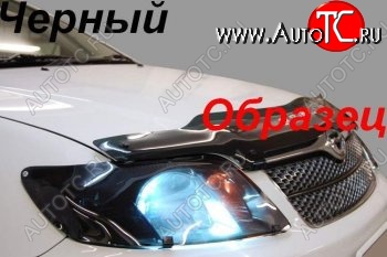 2 089 р. Защита фар (левый руль) CA-Plastiс Toyota Prius XW20 дорестайлинг (2003-2005) (Classic черный)  с доставкой в г. Воронеж