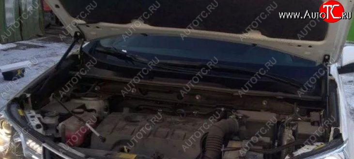2 199 р. Газовые упоры капота Berkut Toyota RAV4 XA40 5 дв. рестайлинг (2015-2019)  с доставкой в г. Воронеж