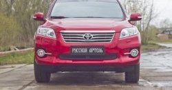1 469 р. Защитная сетка решетки переднего бампера РА  Toyota RAV4  XA30 (2010-2013) 5 дв. 2-ой рестайлинг  с доставкой в г. Воронеж. Увеличить фотографию 3