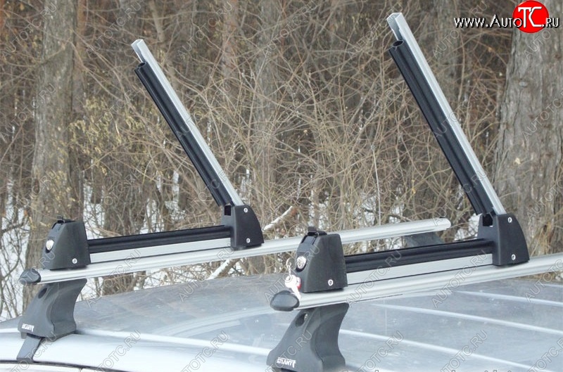 2 349 р. Крепление для 3 комплектов лыж или 2 сноубордов Amos Ski Lock 3 BMW X1 F48 дорестайлинг (2015-2019) (Цвет: серебристый)  с доставкой в г. Воронеж