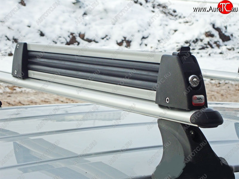 2 449 р. Крепление 5 комплектов лыж или 4 сноубордов Amos Ski Lock 5    с доставкой в г. Воронеж