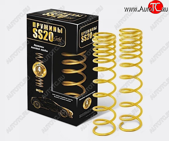 8 249 р. Пружины задние SS20 серии Gold Progressive Лада 2112 хэтчбек (1999-2008)  с доставкой в г. Воронеж