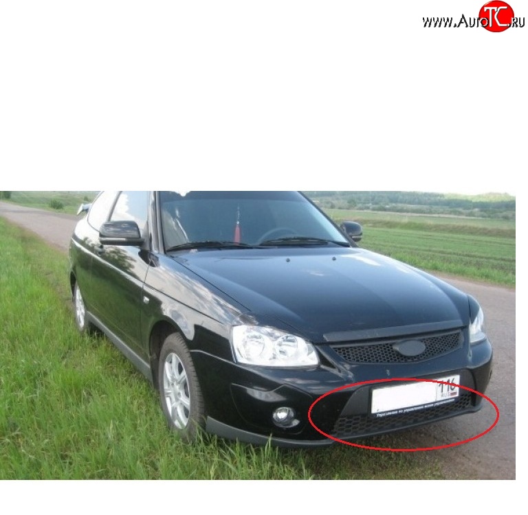 419 р. Решетка бампера 21728 Priora Sport нижняя Лада Приора 2170 седан дорестайлинг (2007-2014)  с доставкой в г. Воронеж