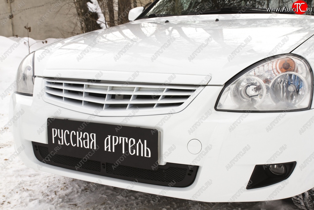 1 369 р. Защитная сетка решетки переднего бампера (рестайлинг) РА Лада Приора 2172 хэтчбек дорестайлинг (2008-2014)  с доставкой в г. Воронеж