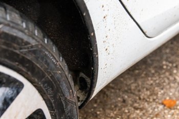 3 999 р. Защитные накладки на арки ArtForm Лада Веста SW 2181 универсал дорестайлинг (2017-2022) (Поверхность: шагрень)  с доставкой в г. Воронеж. Увеличить фотографию 3