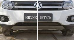 1 699 р. Защитная сетка решетки переднего бампера (Track & Field) РА  Volkswagen Tiguan  NF (2011-2017) рестайлинг  с доставкой в г. Воронеж. Увеличить фотографию 4