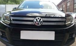 2 099 р. Сетка на бампер Sport&Style Russtal (черная) Volkswagen Tiguan NF рестайлинг (2011-2017)  с доставкой в г. Воронеж. Увеличить фотографию 3